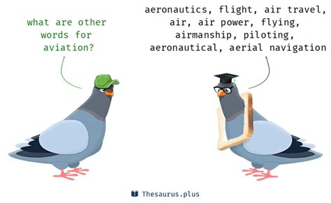 aviation antonyms|aviation definitions dictionary.